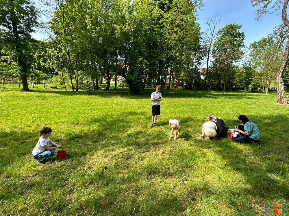 Zdjęcie przedstawiające grupę ludzi stojących na trawniku i w coś grających. W tle drzewa parkowe.