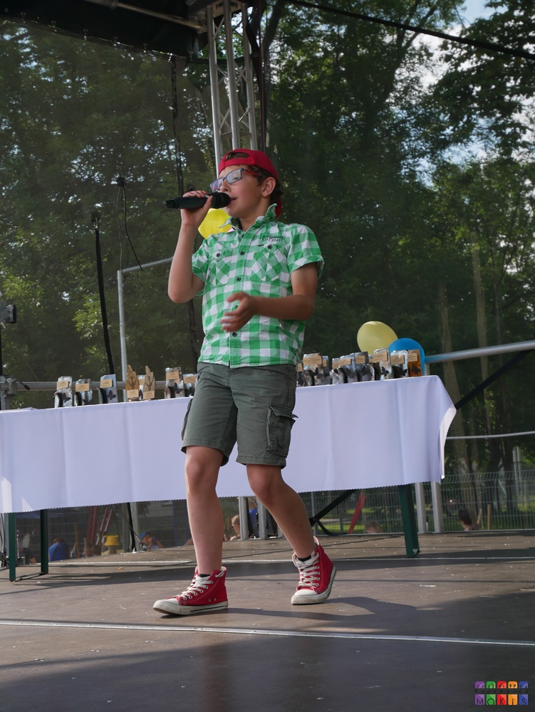Zdjęcie przedstawiające śpiewającego chłopaka do mikrofonu trzymającego w ręku