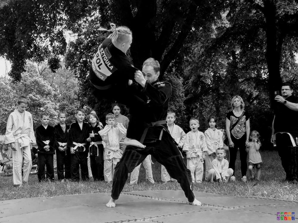 Zdjęcie przedstawiające pokaz sztuki walki w parku miejskim