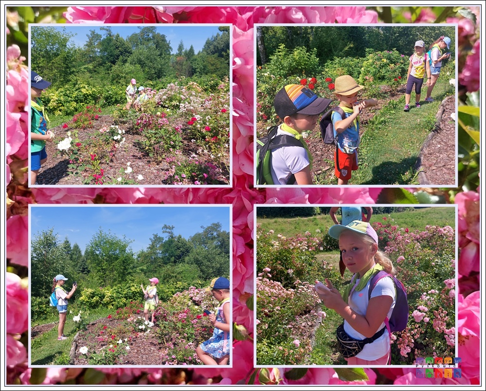 Kolaż zdjęć, na których widać dzieci na tle łąki z kwiatami