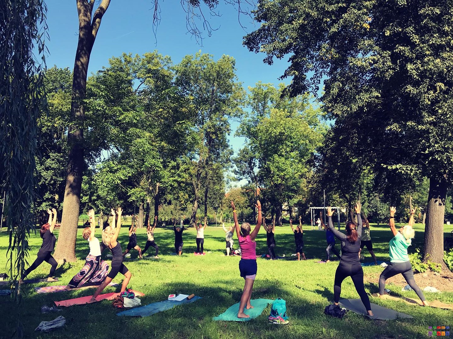 Zdjęcie przedstawia ćwiczących w kole ludzi JOGĘ w parku. W tle widać drzewa parkowe